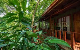 Jaguarundi Lodge - Monteverde